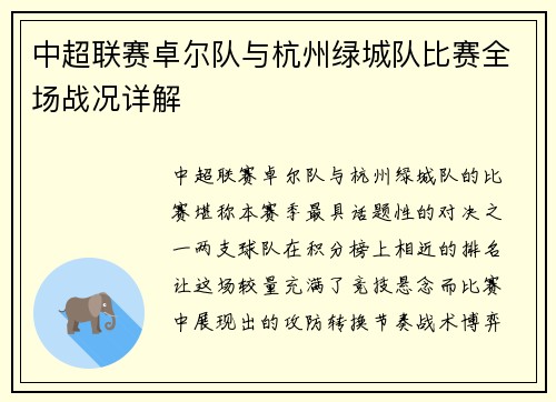 中超联赛卓尔队与杭州绿城队比赛全场战况详解